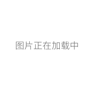 上海恒平JY5002電子天平 500g/0.01g 電子秤/電子稱